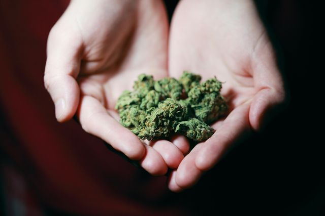 Cannabis-Gesetz im Bundestag beschlossen