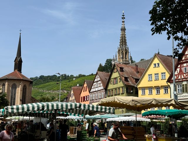 Esslingen - Wahlstand