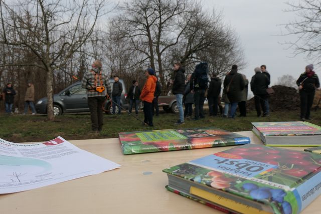 Schnittkurse für Streuobstbäume