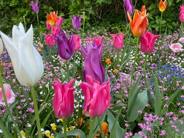 Sonderbudget für Gartenschauen – Initiative der Grünen erfolgreich