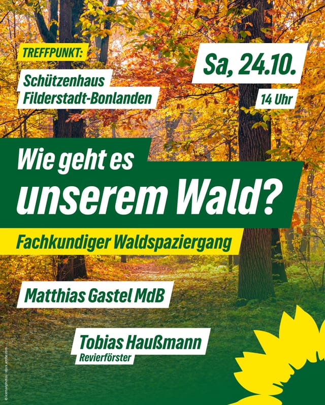 „Wie geht es unserem Wald?“ - Waldspaziergang mit Matthias Gastel MdB